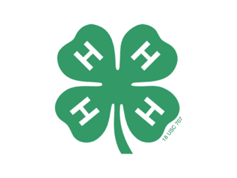 Logo for 2026 Greene County 4-H Fair